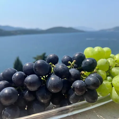 Grande 3* Neum
